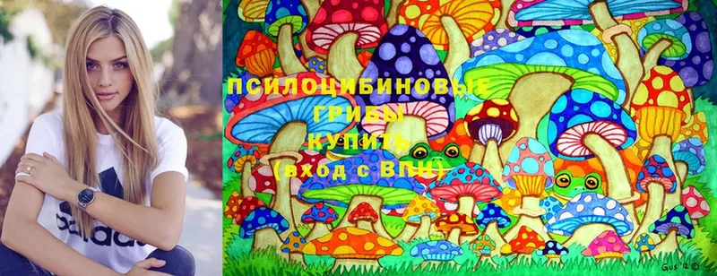 цены наркотик  Грайворон  блэк спрут онион  Галлюциногенные грибы Magic Shrooms 